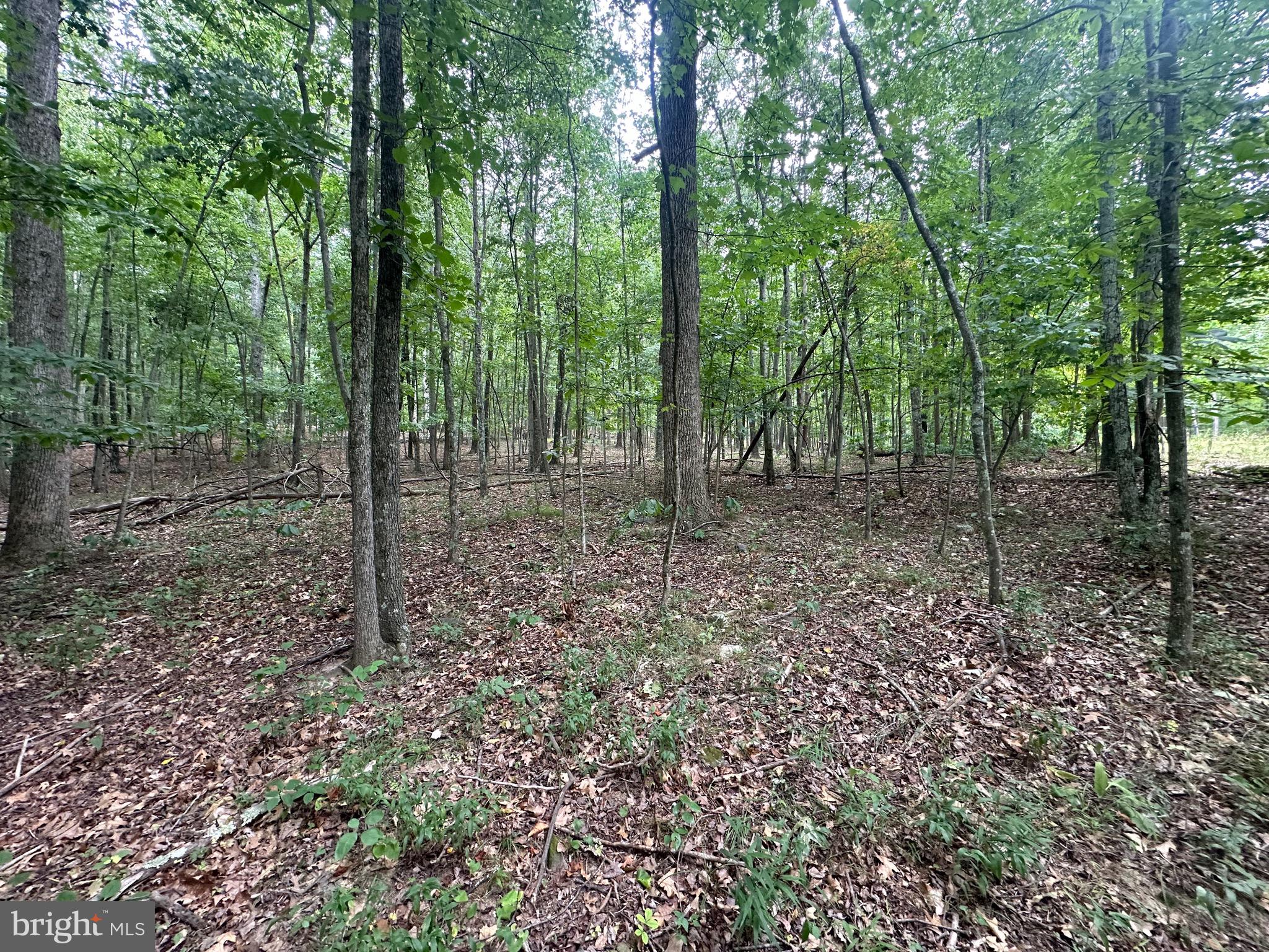 Come check out this wonderful lot in Great Cacapon with community river access! This 2 acre lot would be perfect for your weekend retreat or forever home! With light restrictions you can bring your campers and enjoy this slice of WV and the community river access or the couple close public accesses Great Cacapon has to offer. This lot has also already had a successful perc test completed. Come and take a look today!