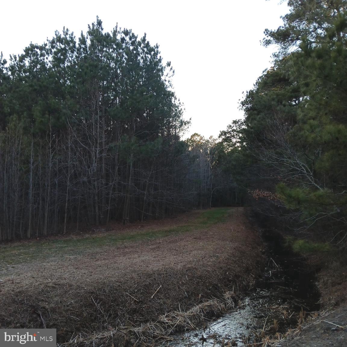 This 3.71 acre wooded lot is located  behind a 1 acre lot.  The  Passerdyke Tax Ditch runs through the front portion of the land.   The trees have grown for approx. 19 yrs.. The lot was   previously  used for farming. This is a great lot for hunting, recreation or timber cutting.
This location is 15 min. from Salisbury, 10 min. from Princess Anne, less than 10 min to  Route 13,  also, 5 min from the vineyard and 40 min from Ocean City, MD.