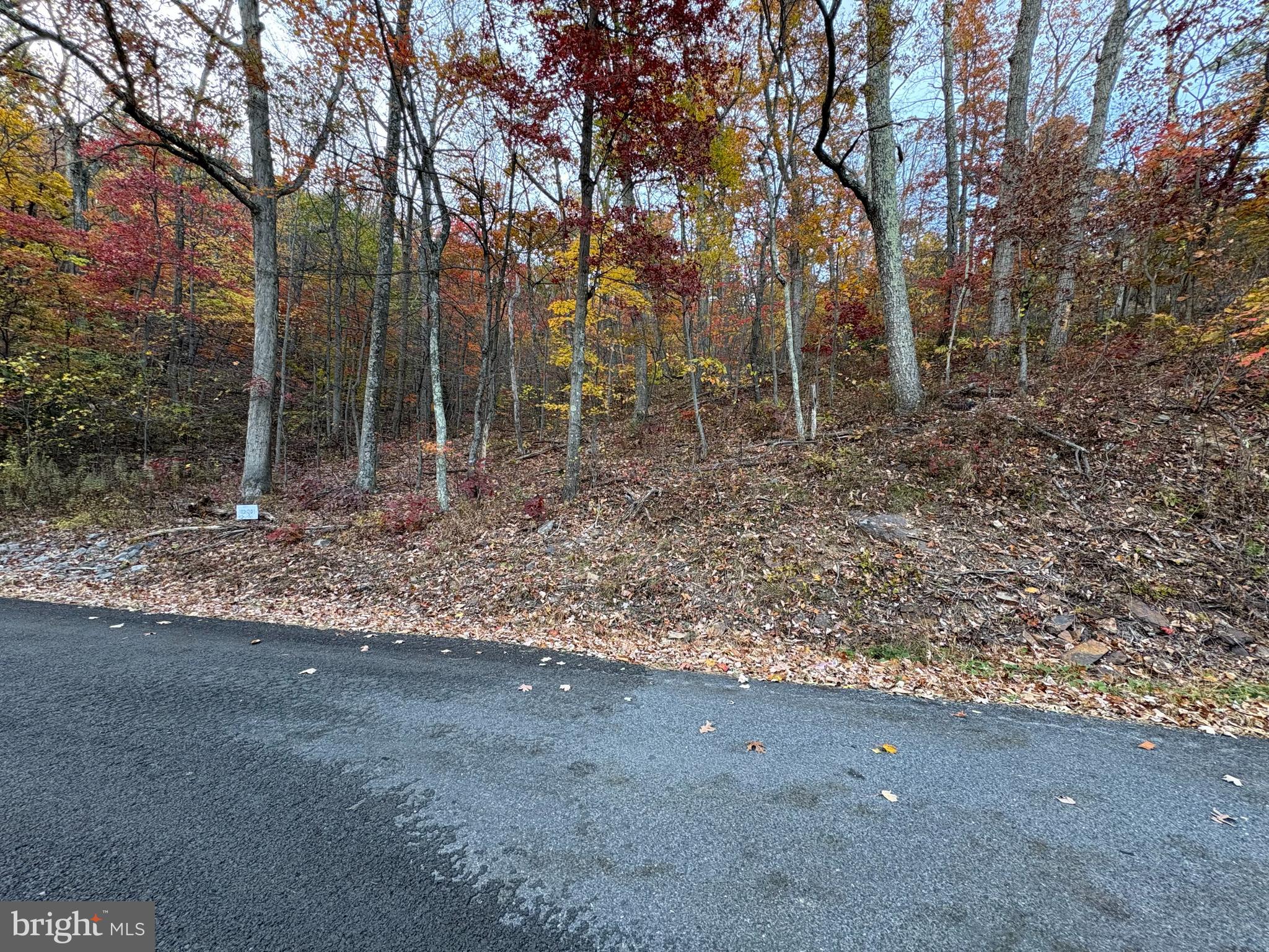 Come see the views in this mountain community, potential building lot .49  acres, build your possible full or part time home or just recreational use. Hard top roads, road maintenance & amenities. Fishing, boating, Beach area, 2 recreational park areas, picnic pavilion, fishing ponds, baseball field, basketball hoops. Peaceful & Quiet, Take a ride to the top & enjoy all the wonderful Mountain Views.  Short distance to shopping, schools, Hospital and main roads, Rt 50, RT 37, I 81.  Sign with Lot numbers on property
Also for Sale Lots 9 & 102 Dogwood Trail
Also For Sale Tomahawk Trail Lot 132 - 133
