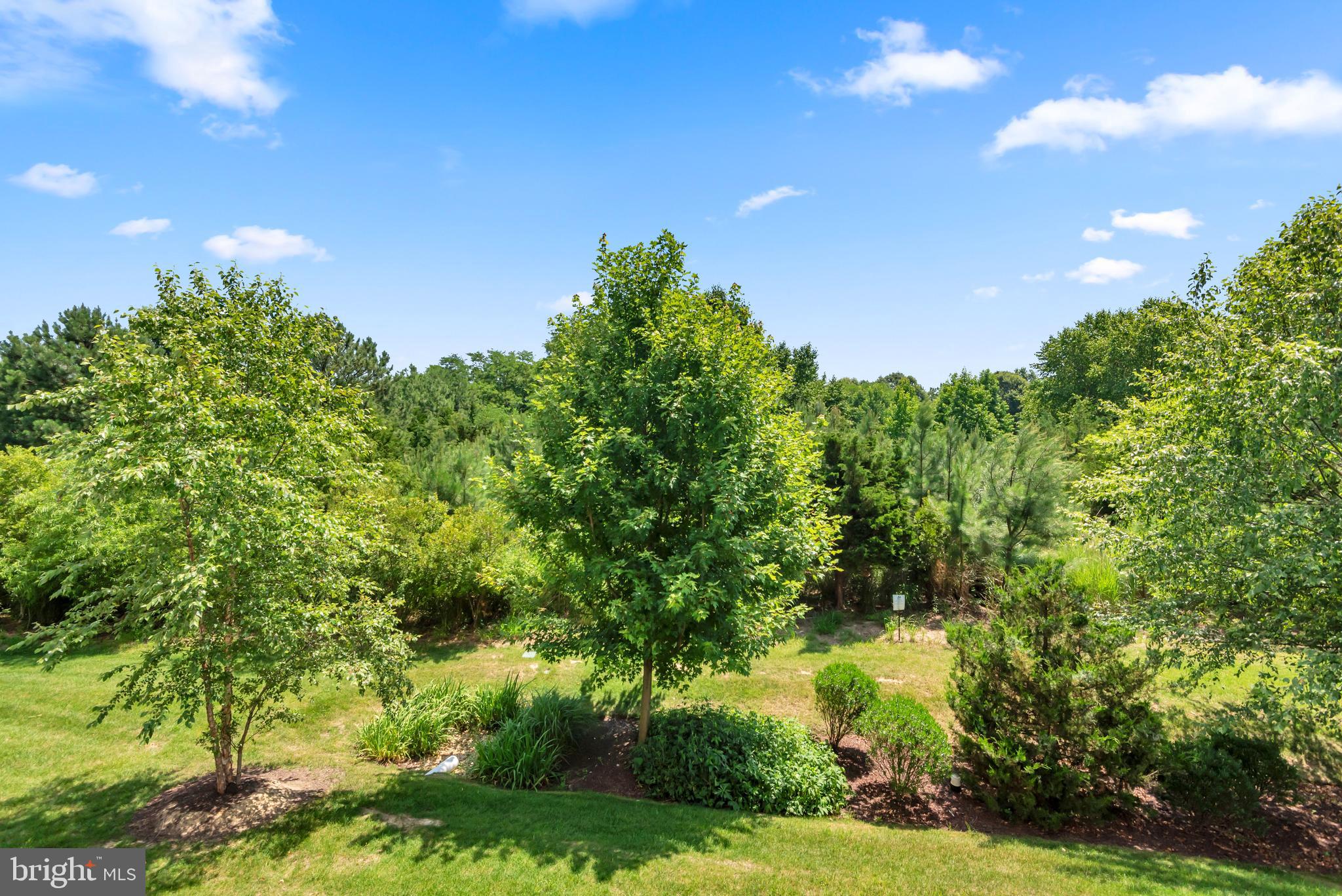 FOUR SEASONS AT KENT ISLAND - Residential