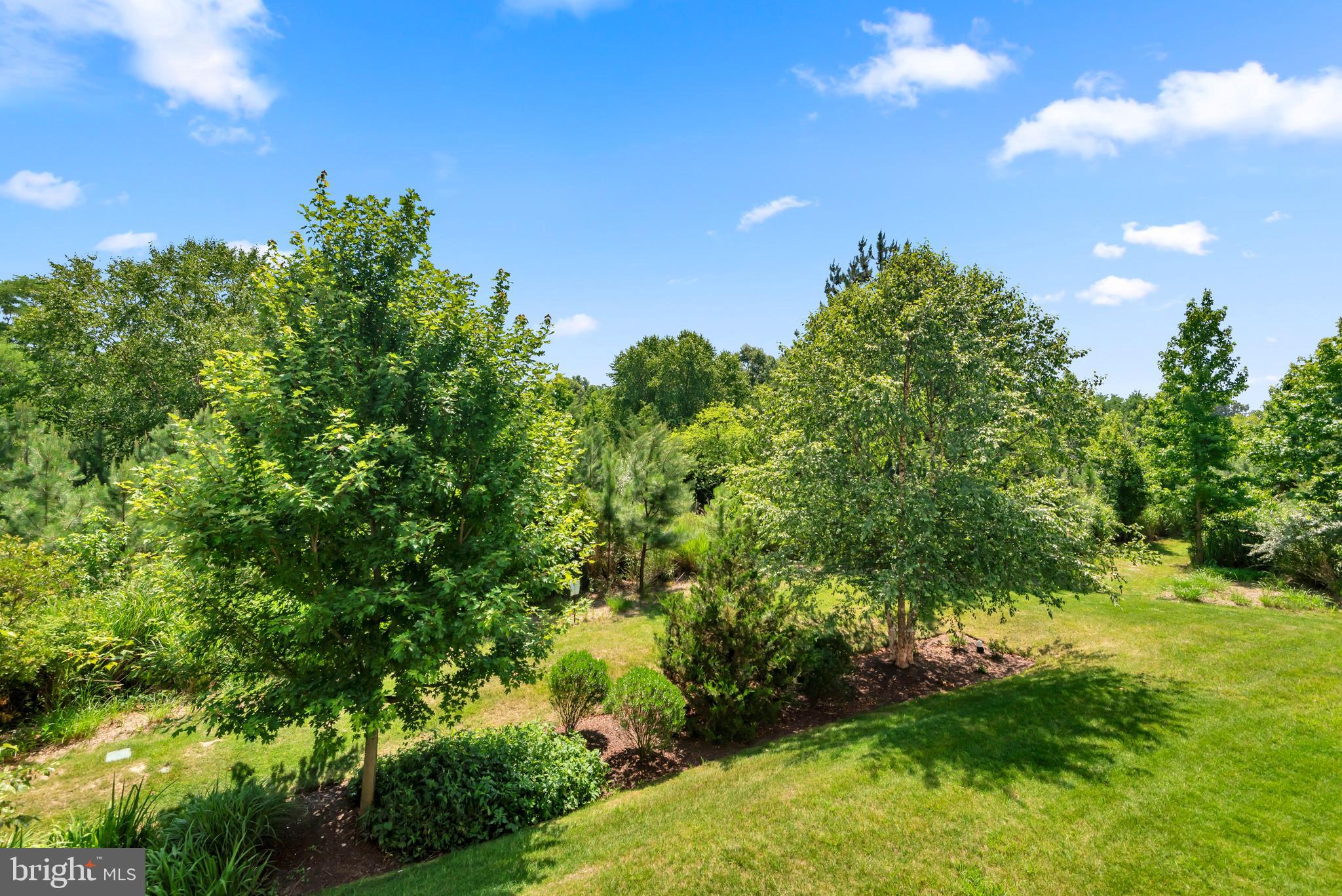 FOUR SEASONS AT KENT ISLAND - Residential