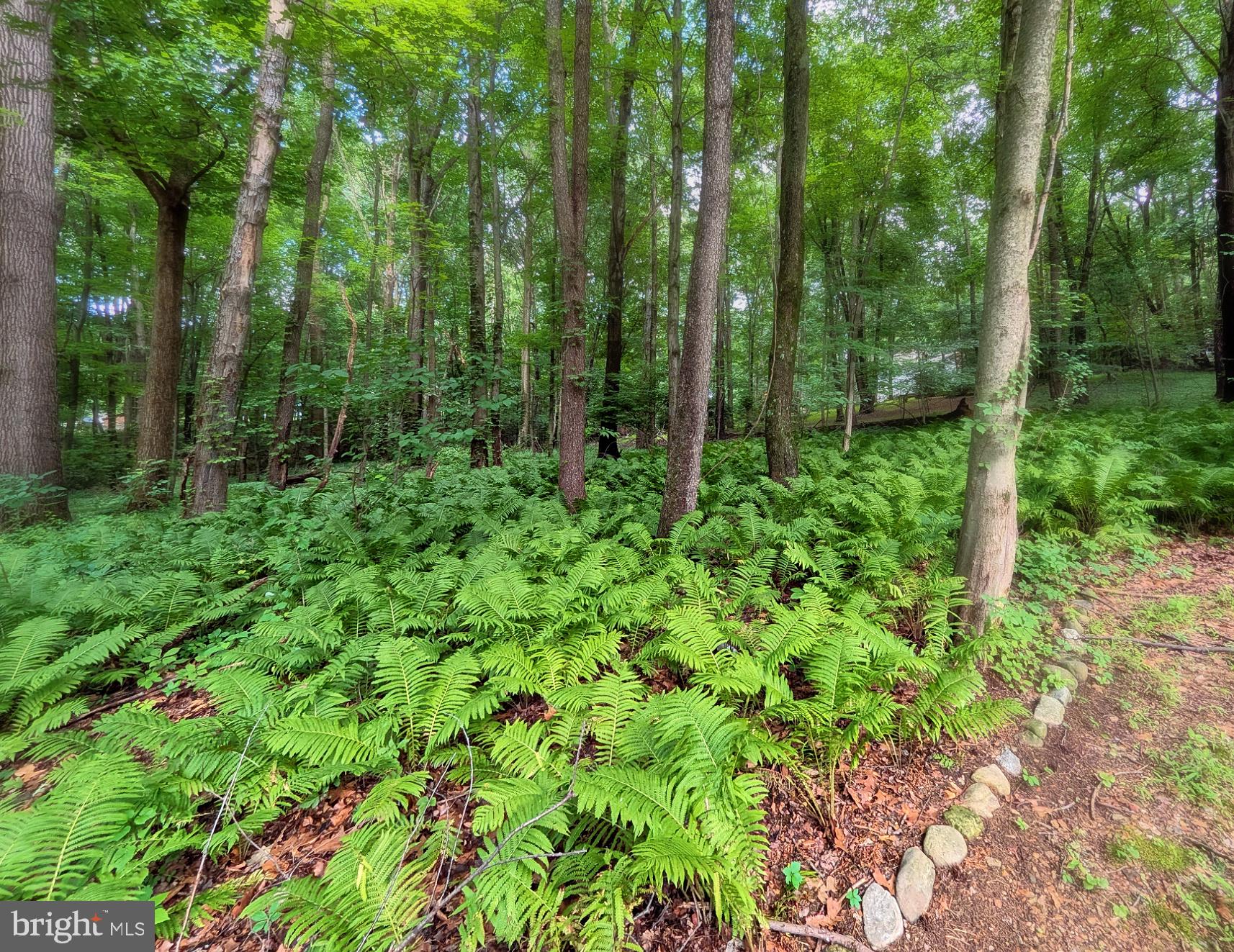 SHERWOOD FOREST - Residential