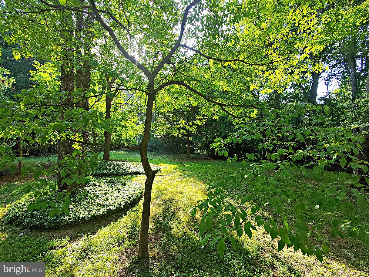 SHERWOOD FOREST - Residential