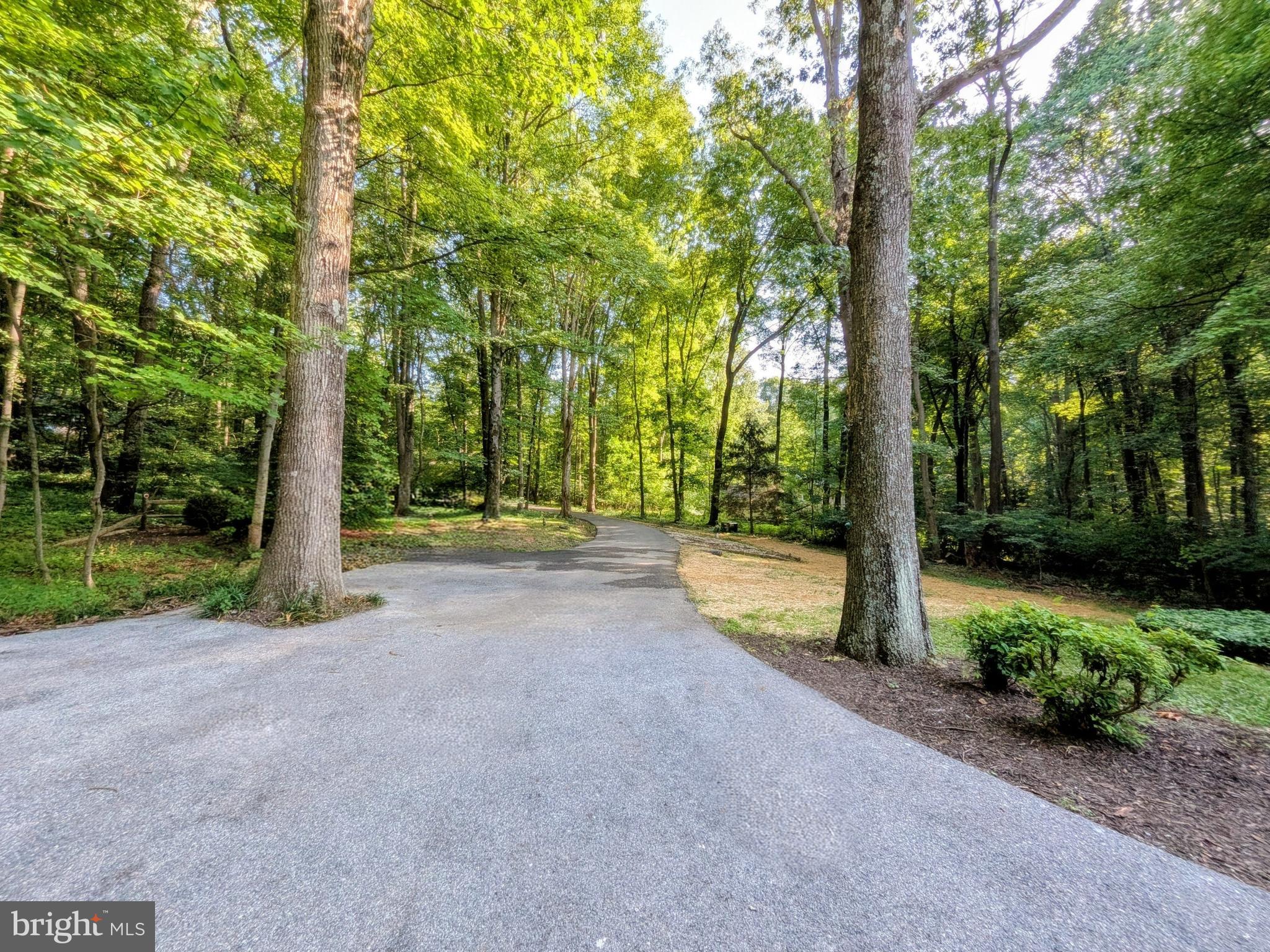 SHERWOOD FOREST - Residential