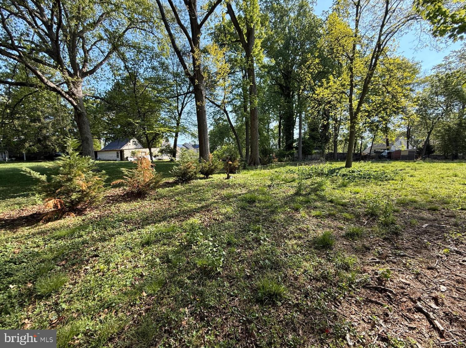 RANDOLPH FARMS - Land