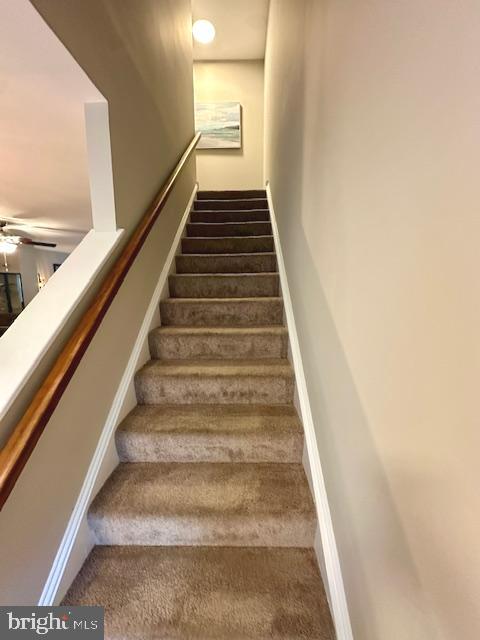 JENNYS RUN - Residential