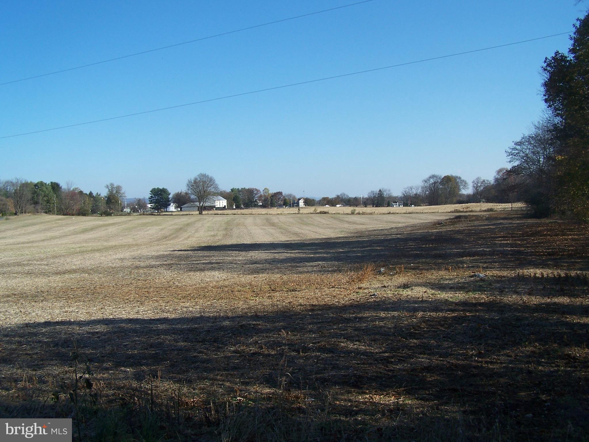NONE AVAILABLE - Farm
