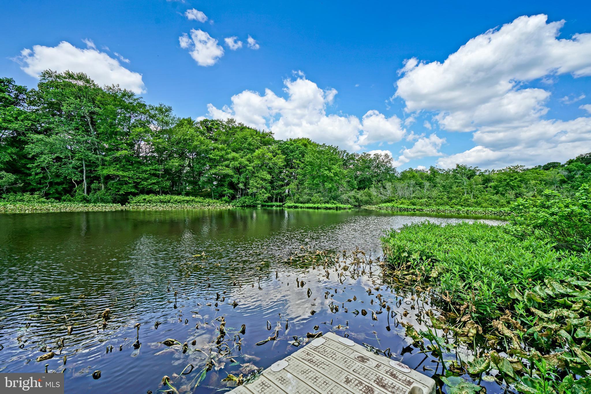 BLUE HERON ESTATES - Residential