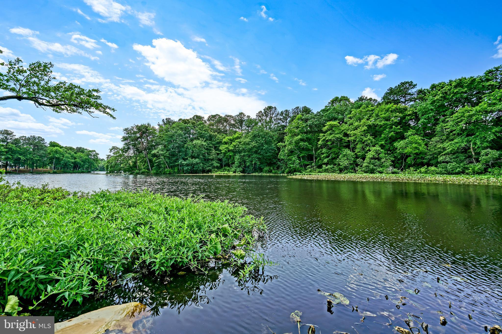 BLUE HERON ESTATES - Residential