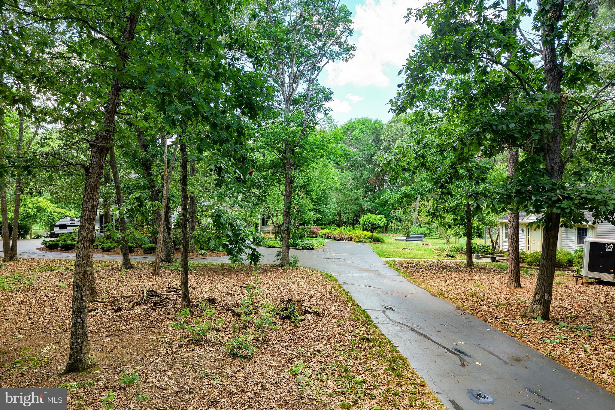 BLUE HERON ESTATES - Residential