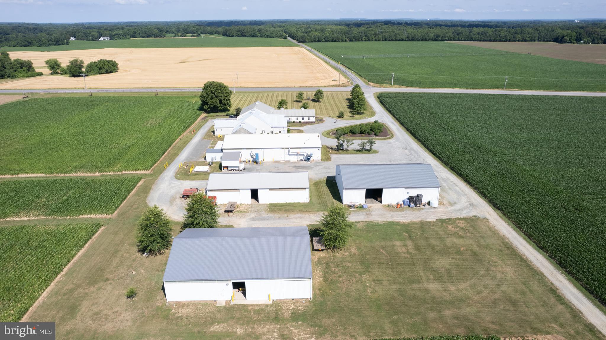 GALENA - Farm