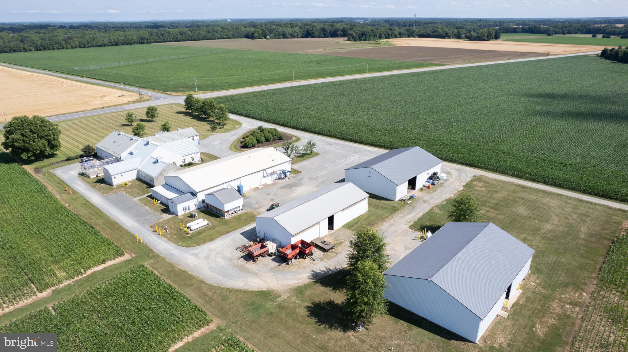 GALENA - Farm