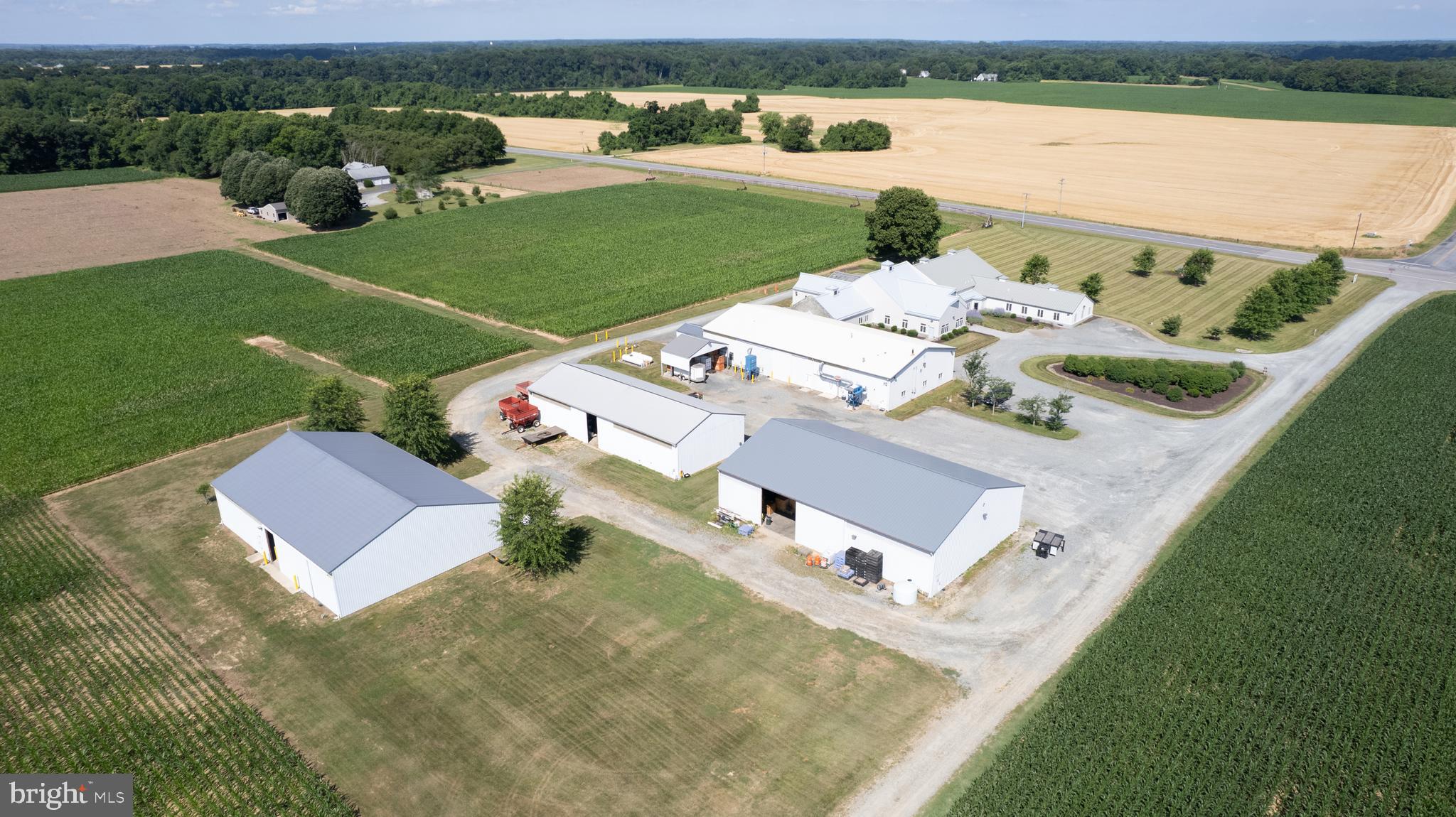 GALENA - Farm