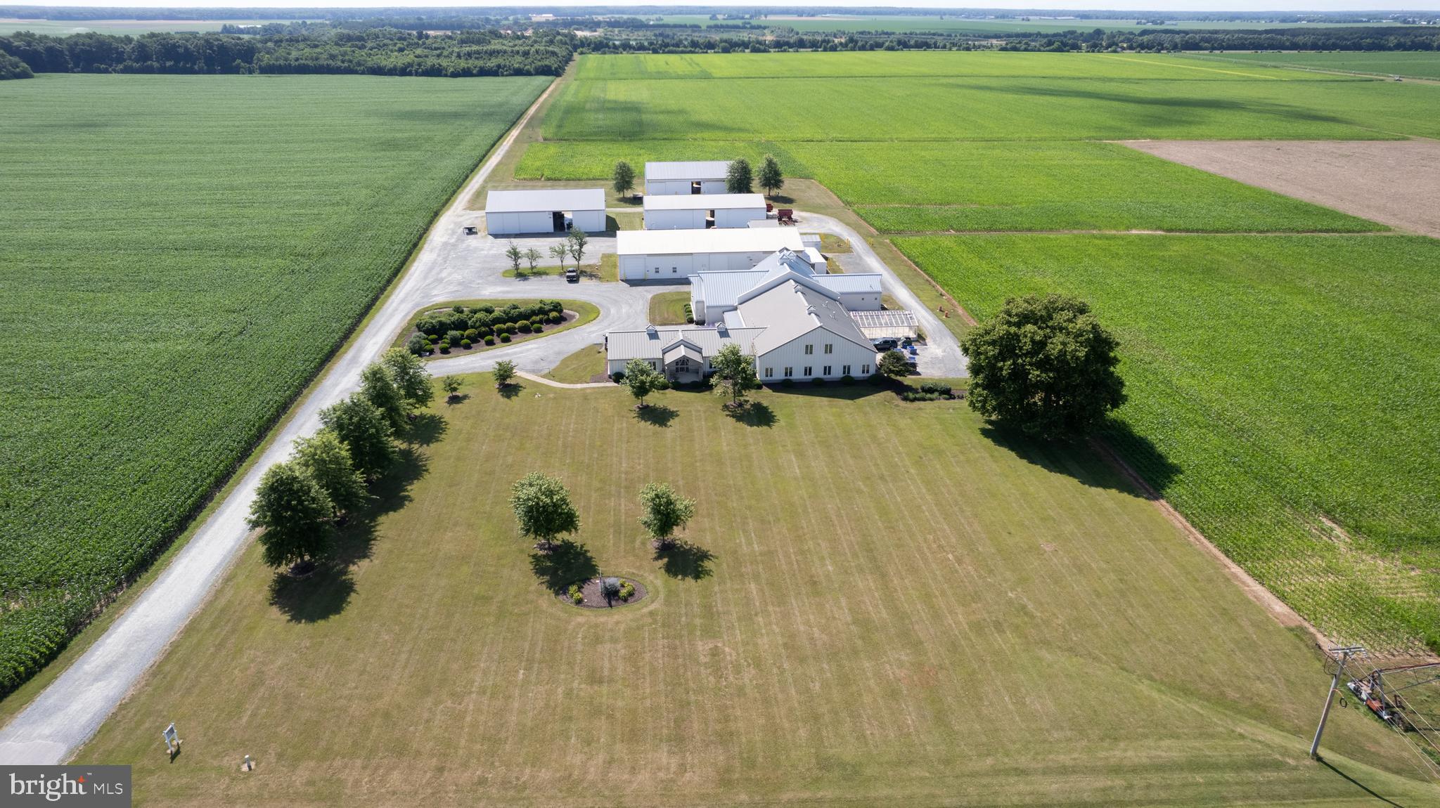 GALENA - Farm