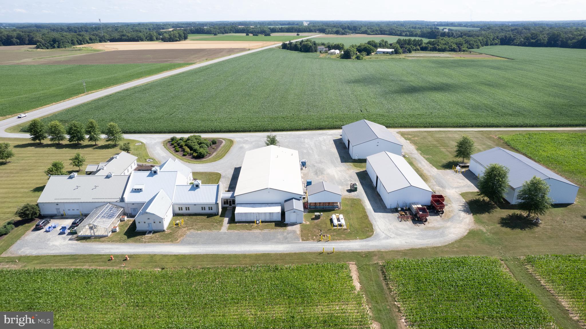 GALENA - Farm