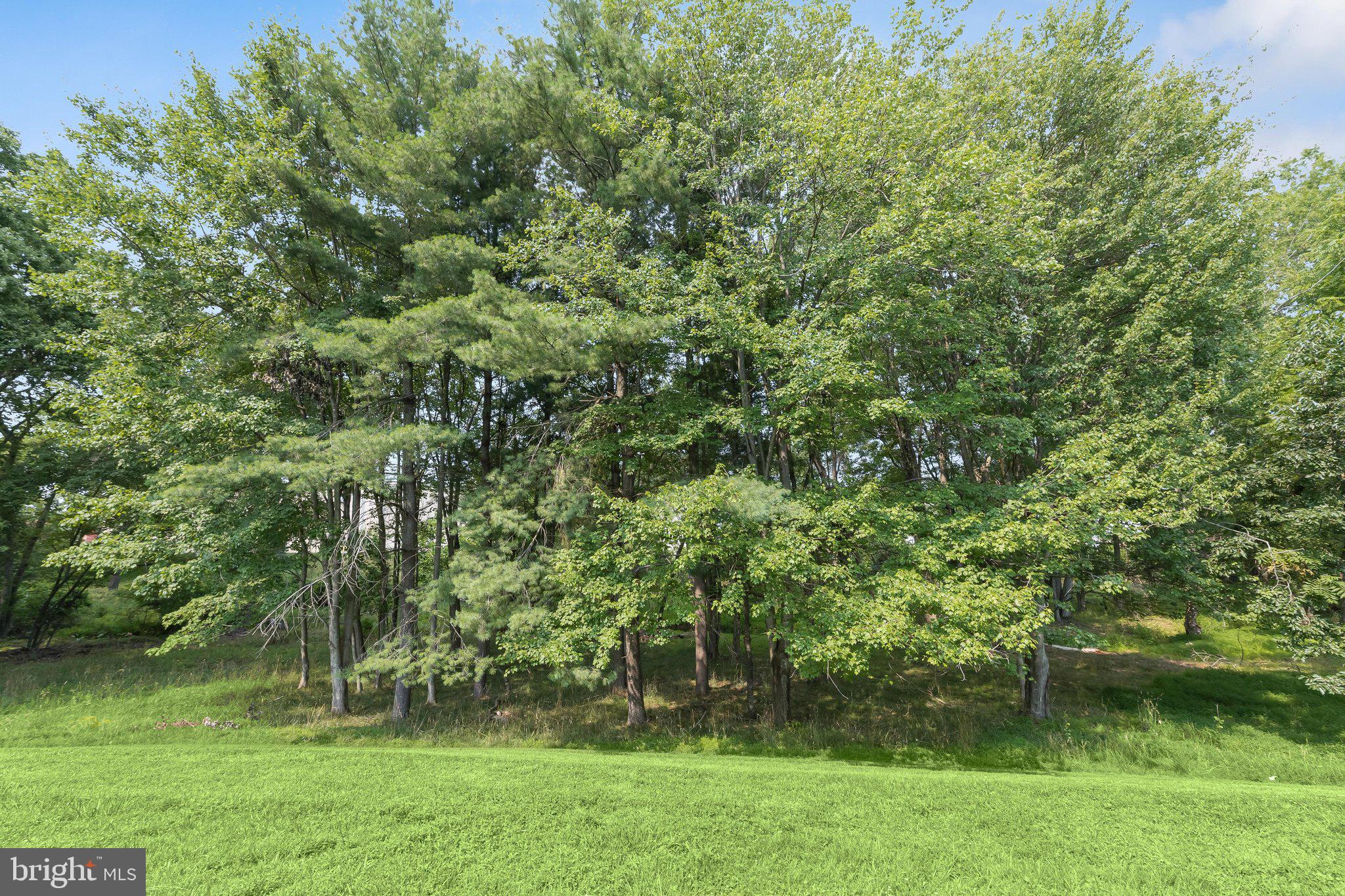 PLEASANT HILLS - Residential