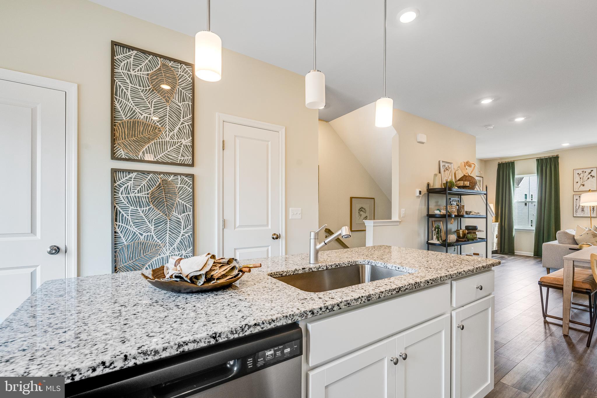SHENANDOAH SPRINGS - Residential