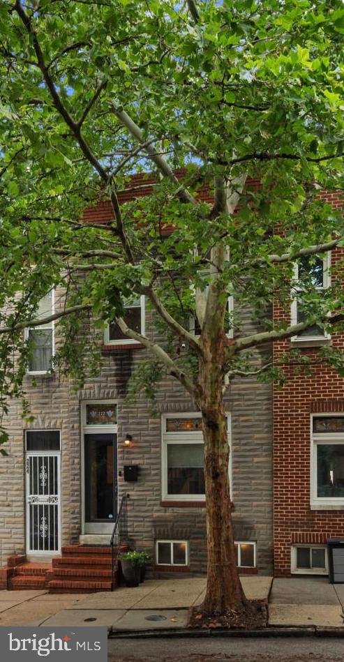 FELLS POINT HISTORIC DISTRICT - Residential