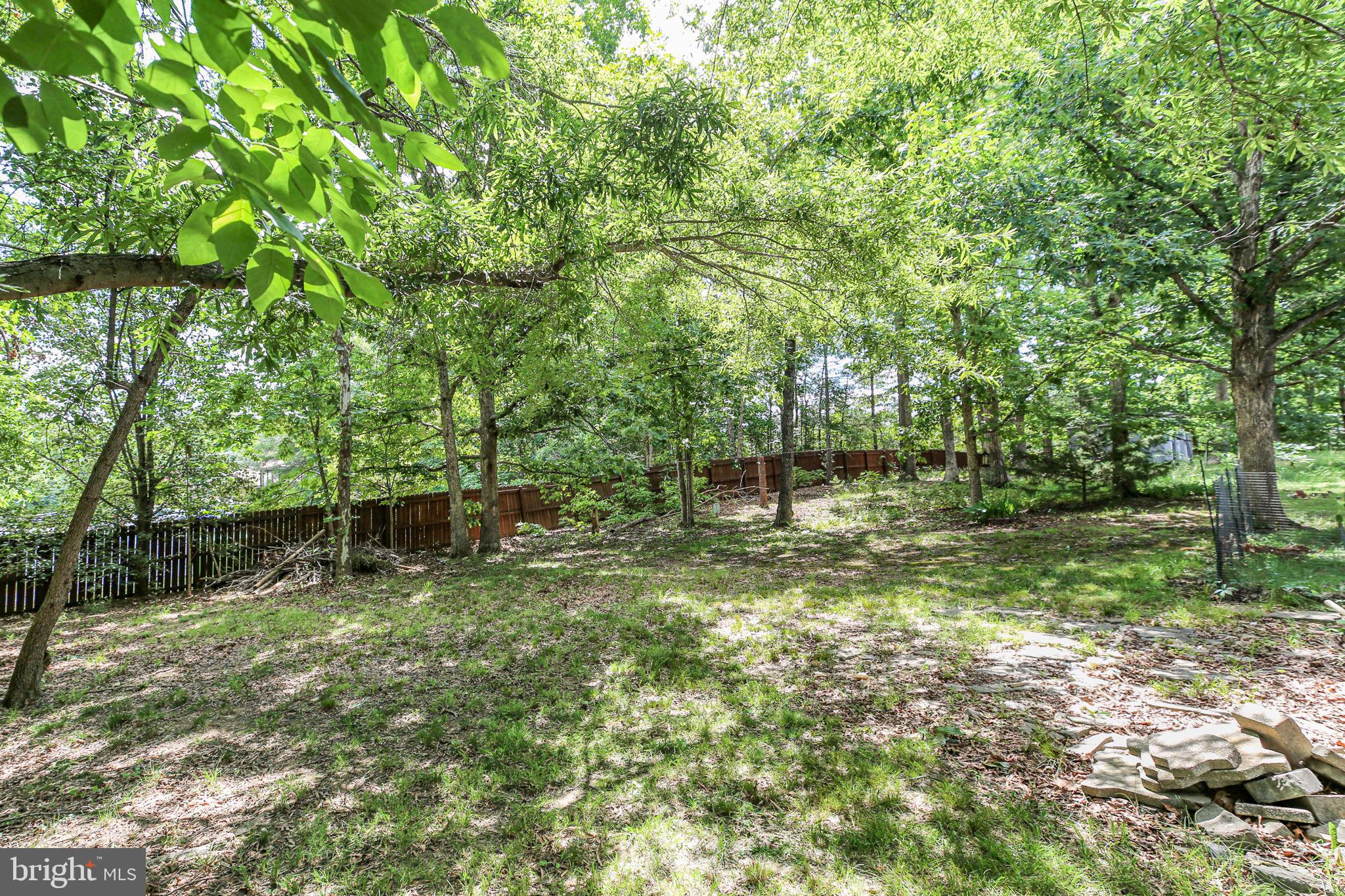 LAKE OF THE WOODS - Residential