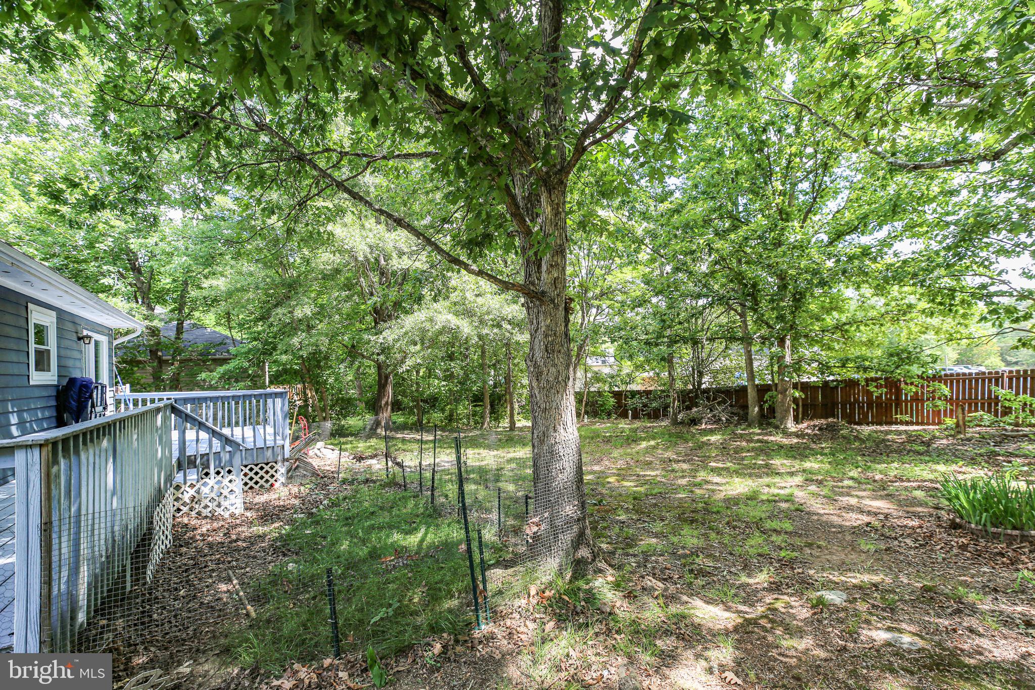 LAKE OF THE WOODS - Residential