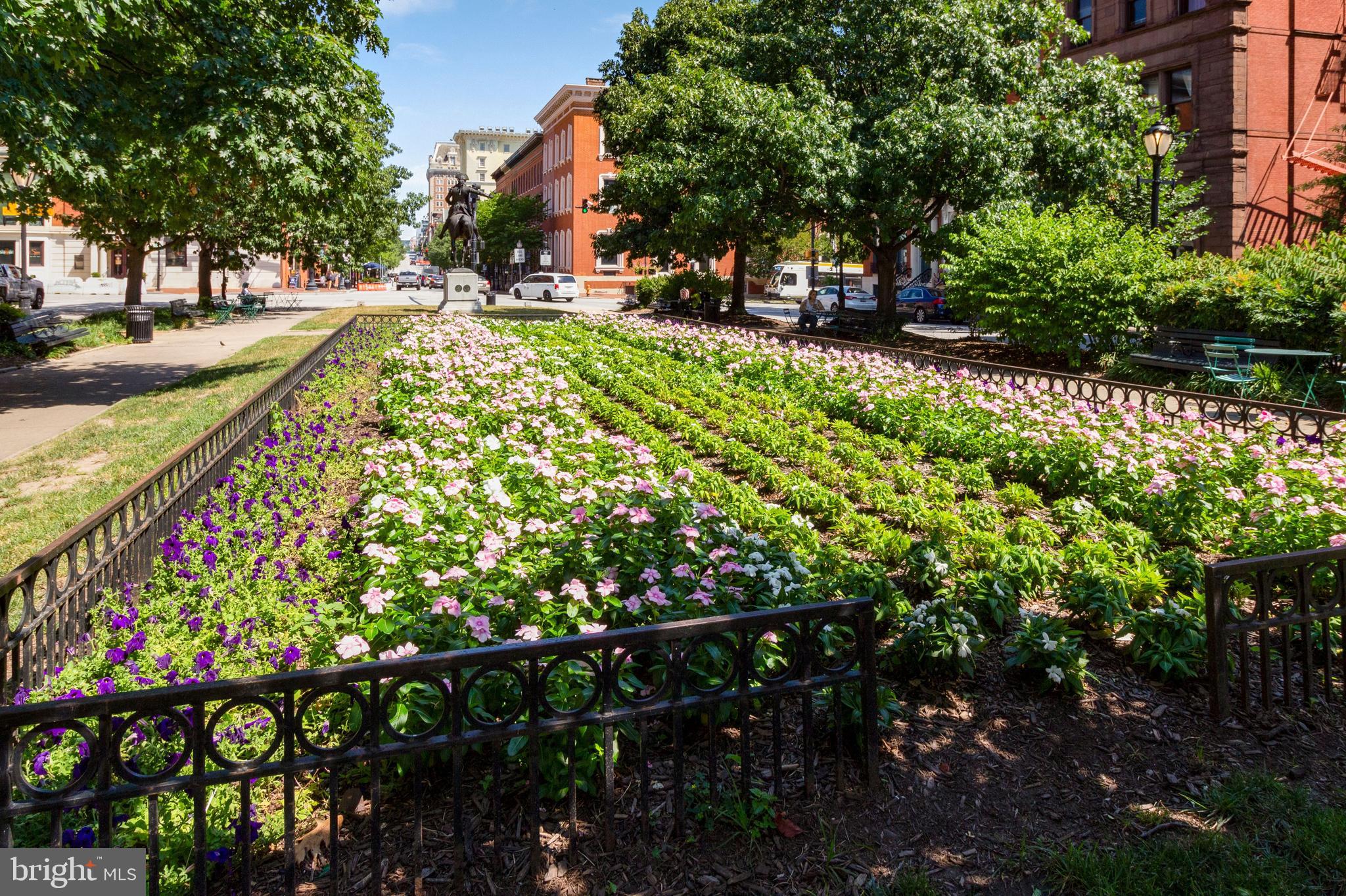 MOUNT VERNON PLACE HISTORIC DISTRICT - Residential