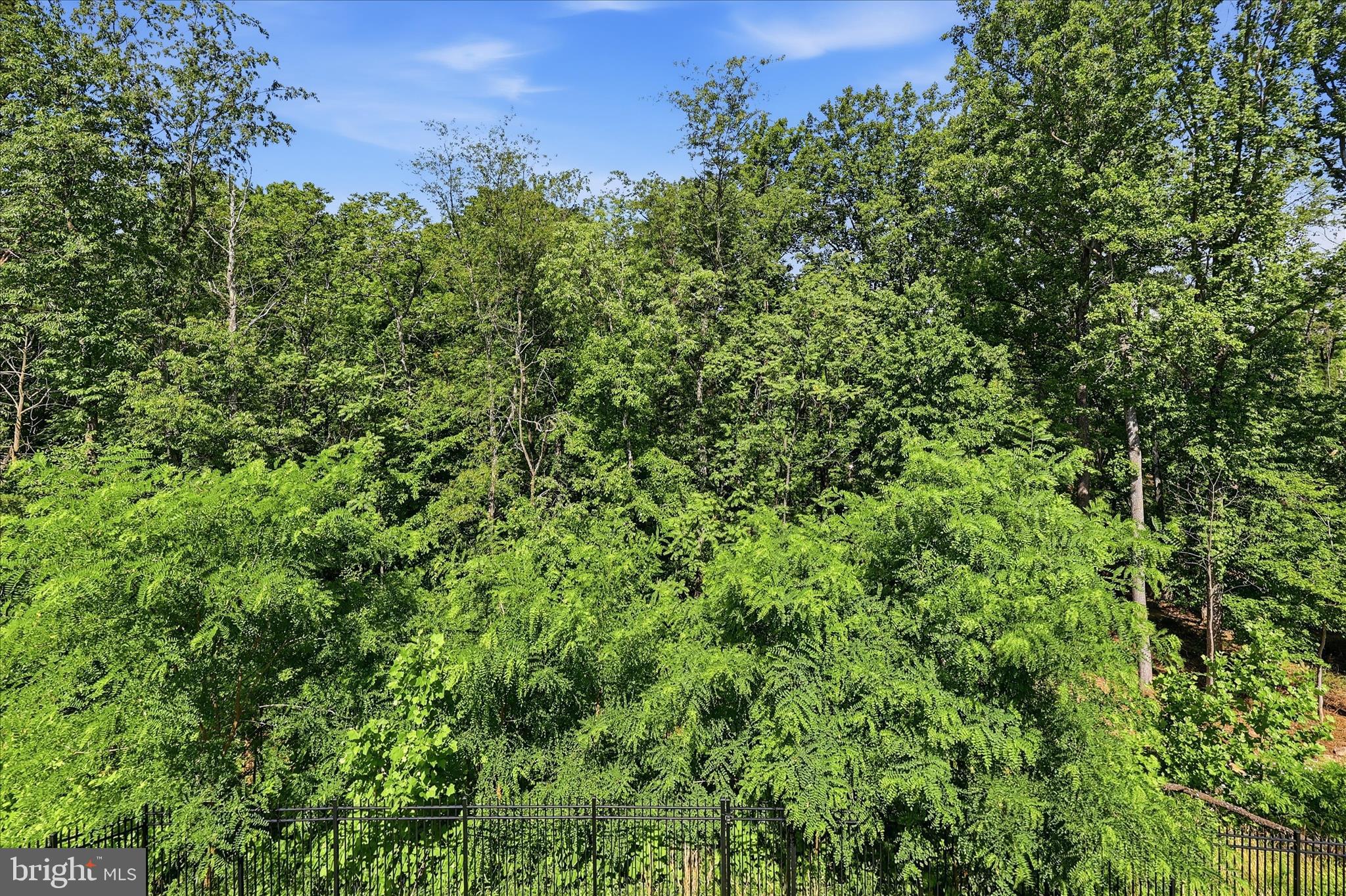 WOODRIDGE AT LAKE LINGANORE - Residential