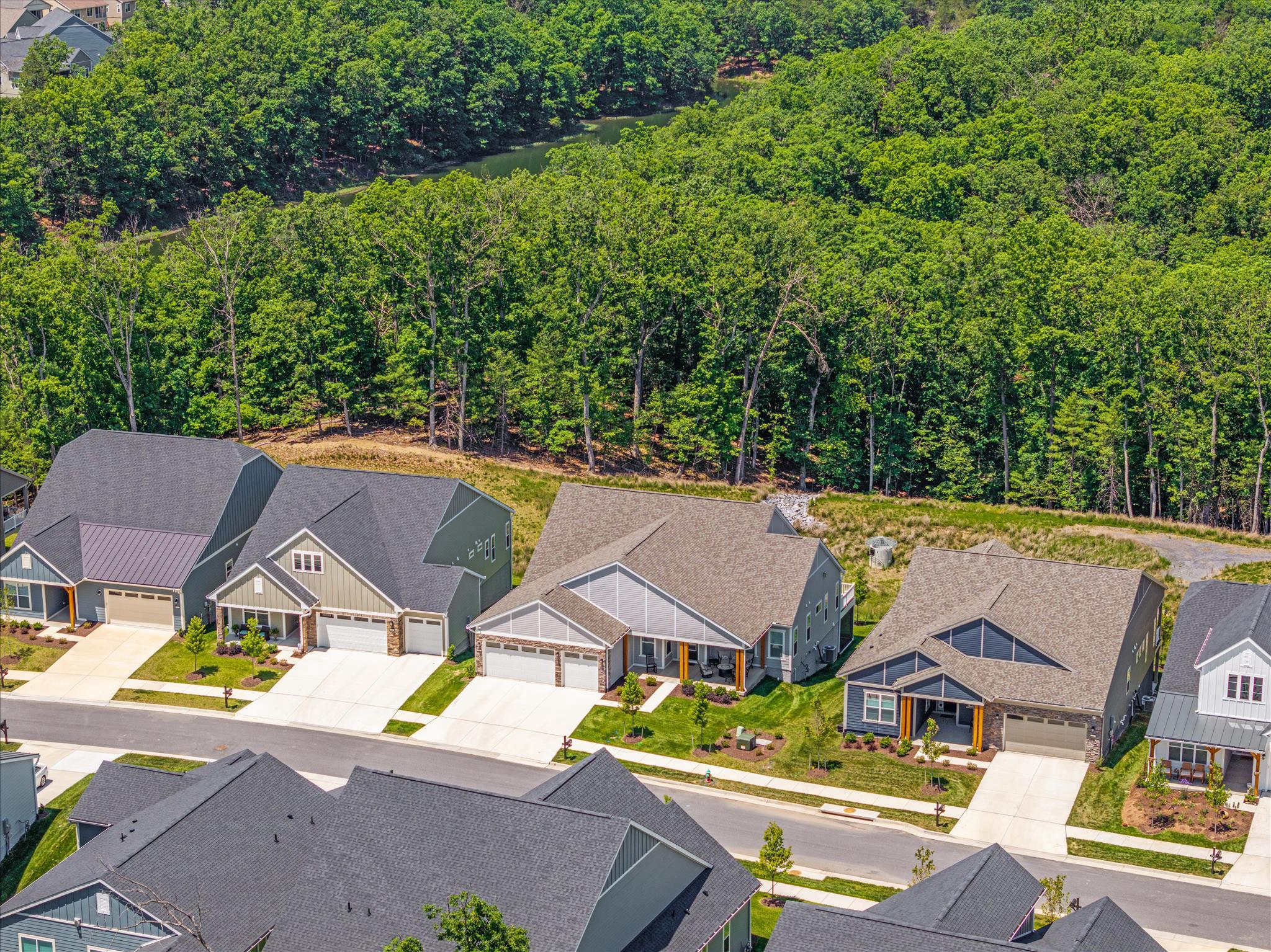 SHENANDOAH, LAKE FREDERICK - Residential