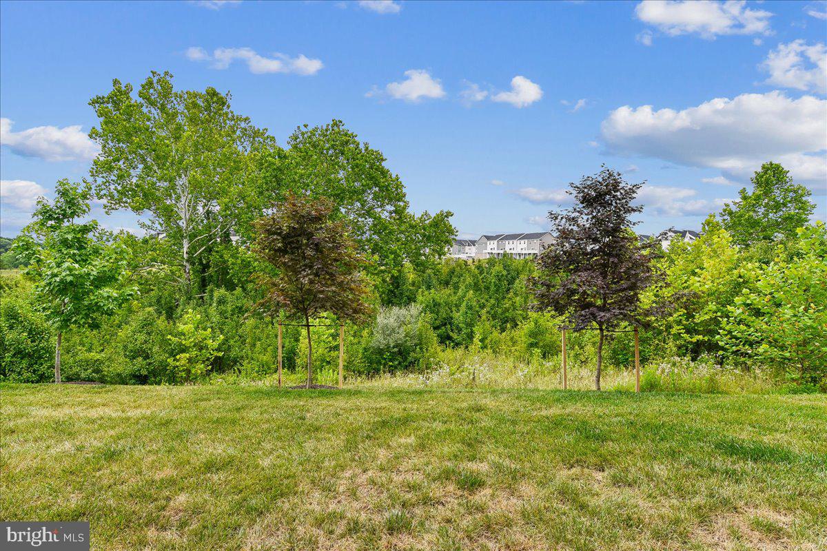 PATAPSCO GLEN - Residential