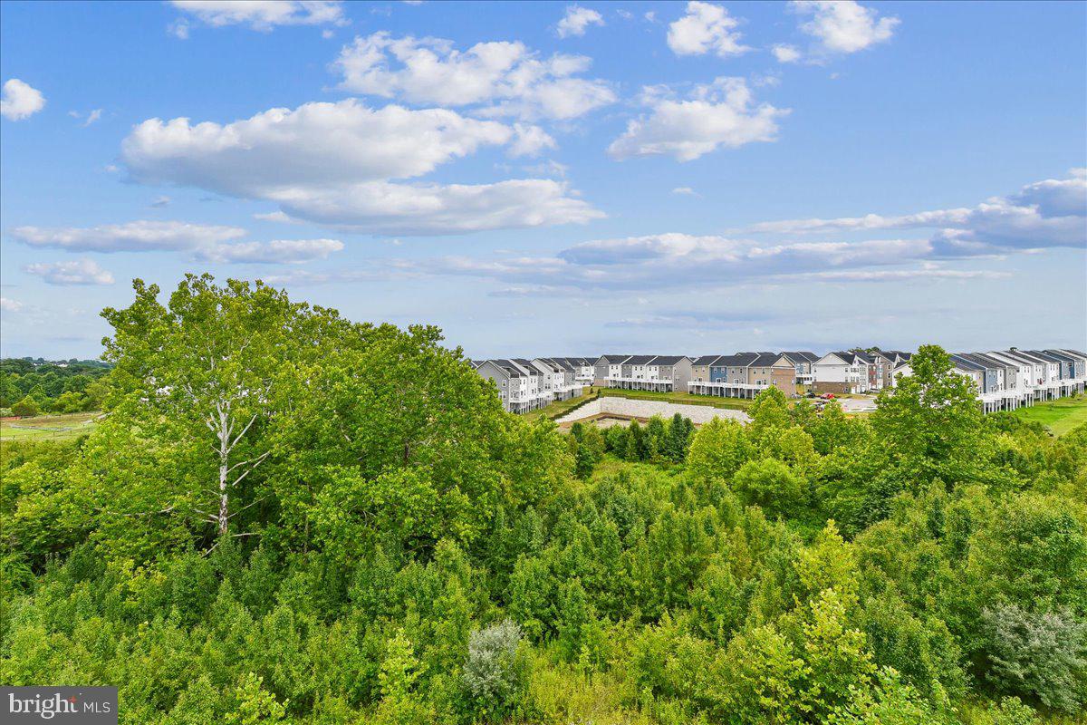 PATAPSCO GLEN - Residential