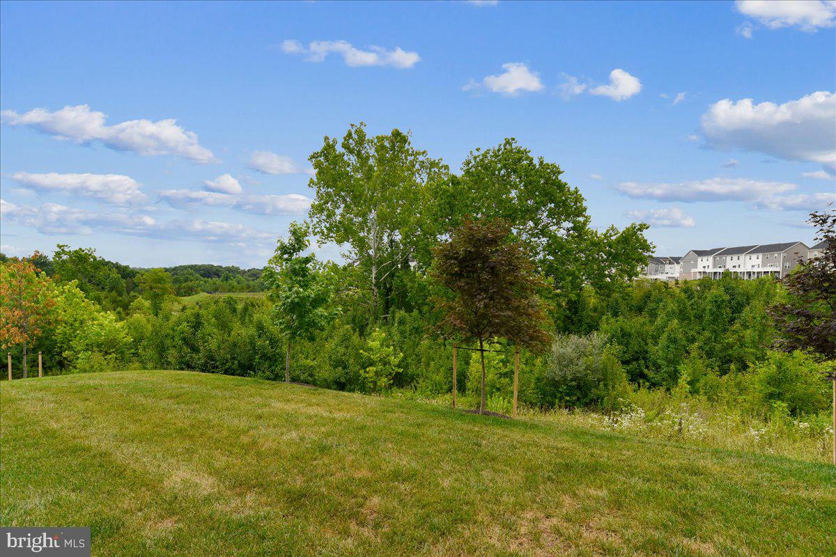 PATAPSCO GLEN - Residential