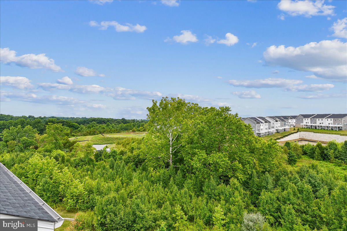 PATAPSCO GLEN - Residential