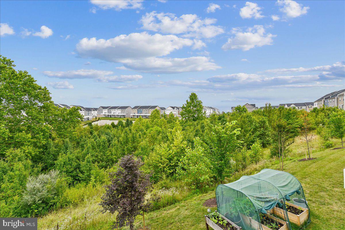 PATAPSCO GLEN - Residential