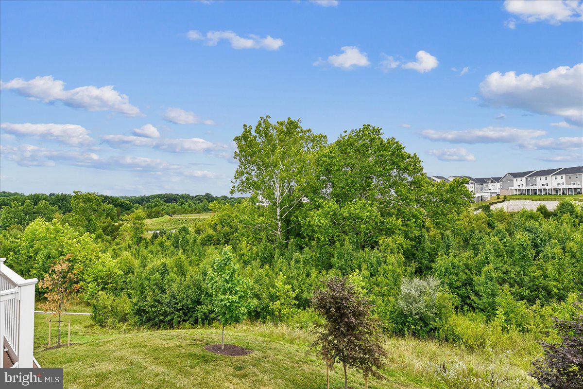 PATAPSCO GLEN - Residential