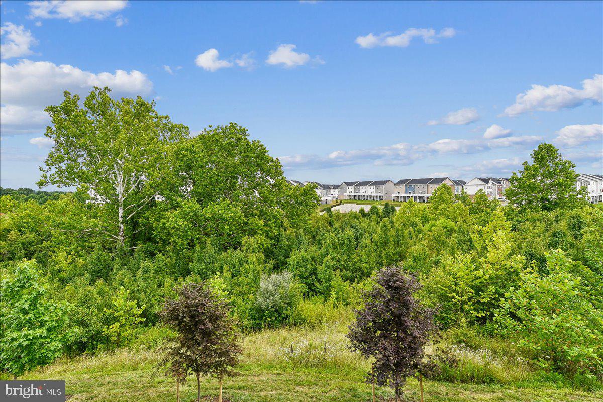 PATAPSCO GLEN - Residential