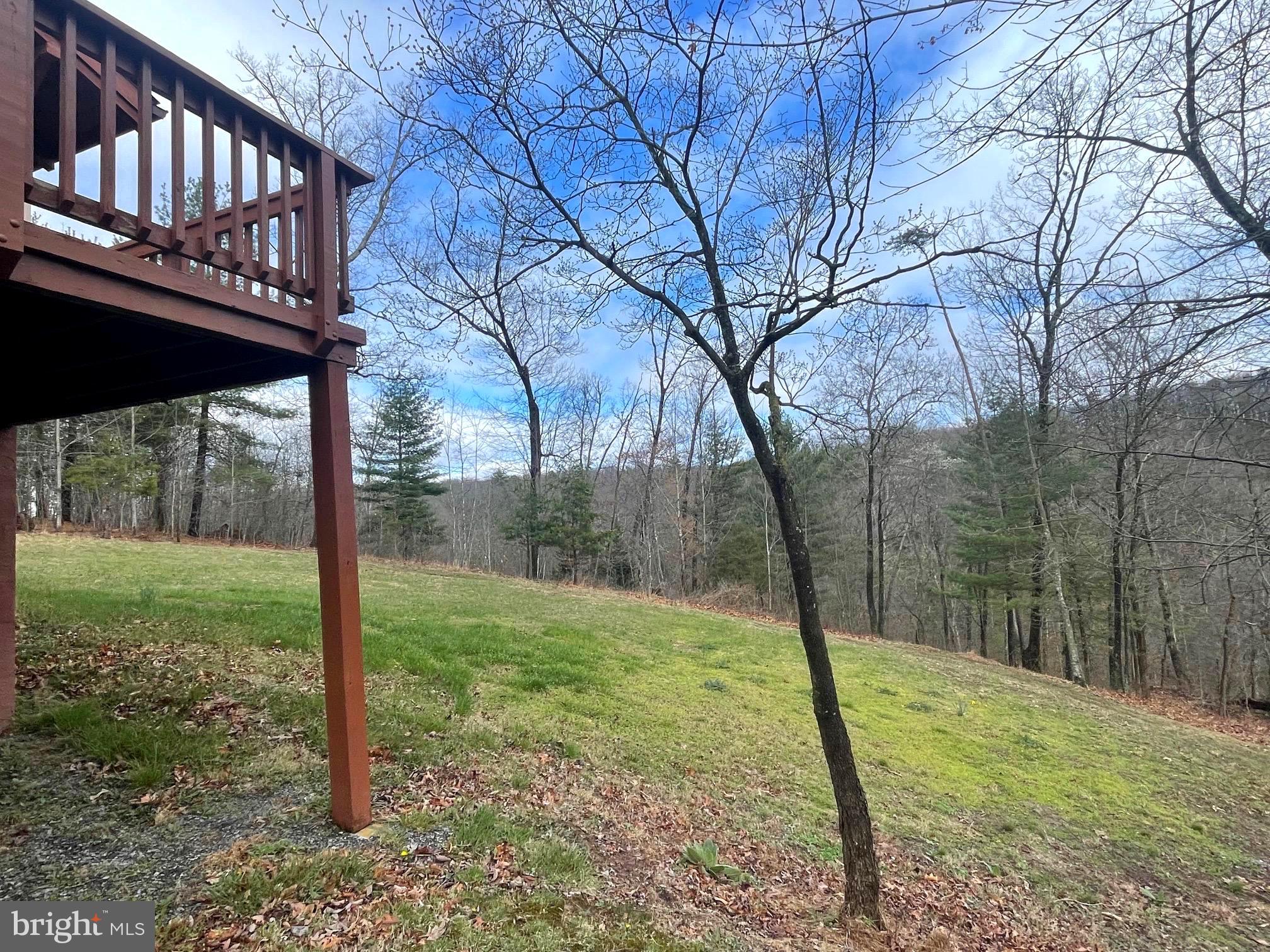 SHENANDOAH SKI & HUNT - Residential
