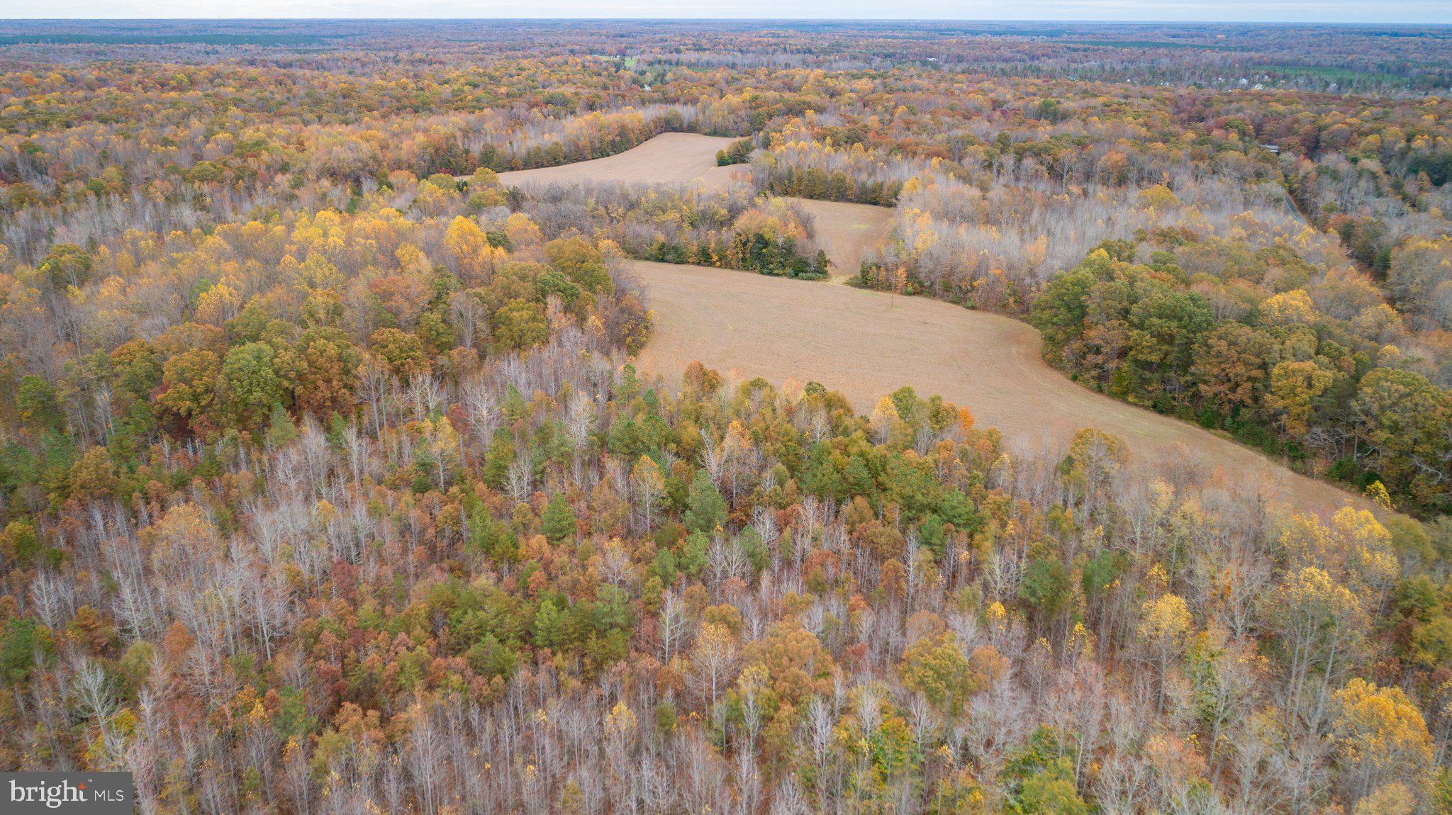 ***AUCTION*** List price is STARTING BID only.  Price TBD thru Online Only Bidding.  Bidding closes on April 8, 2025 at 6: 00 pm (EST). 

Rare Opportunity to purchase a Spotsylvania County estate building lot.  BID ONLINE NOW & secure a location for Your Dream Home!!


Please bid early and often & understand that the online only bidding begins to close on Tuesday, April 8, 2025 @ 6:00 PM (Eastern).

Property Tour:  Please preview at your leisure & contact showing contact.

Need a Mortgage?....Just click on one of the lenders in the "Financing" menu above

 

45.19 +/- acre Spotsylvania County estate lot
This lot has a conventional perk site.
Lot is eligible for family division
Lot has potential for annual divisions 
There is a total of 6 building lots in this offering.  The lots are offered individually, and will not close until there is no bidding for 3 minutes on any of the parcels.
Conveniently located 10.5 miles to Rt. 1/Thornburg, 11 miles to I-95 @ Thornburg, 8 miles to Lake Anna, 19 miles to Fredericksburg, and a short drive to Richmond & Northern Virginia!!
Tax Map:  73-A-15; Zoning:  A3; Property is currently in "Land Use" (roll back taxes would be due if taken out of Land Use); $10,000 deposit (wired funds or certified check ONLY) is due immediately after confirmation of final bid and the balance due at closing within 45 days;  WE GUARANTEE A FREE & CLEAR DEED
Only $150,000 Starting Bid!!
FOR REALTORS:  if you are currently working with a licensed real estate salesperson and want them to represent you, please have them CLICK HERE and complete their bidder registration form.  In order for the real estate salesperson to be compensated, the registration form must be completed and submitted no later than 6 am on the day of the auction (4/8/25), and all terms adhered to.  NOTE:  Please contact showing contact  to discuss a higher  rate with a pre-approved starting bid!!

Terms and Conditions
TERMS:  Thank you for your interest in this property. Contact  showing contact for additional information.

This online auction is not contingent on or subject to financing, appraisal, survey (property lines), study period or inspections of any kind, as agreed to by bidders at registration prior to bidding, and specified in the Offer to Purchase and Contract. Property is sold in as-is condition with no warranties or guarantees of any kind.

Per the contract, “TIME IS OF THE ESSENCE,” and you should proceed to closing immediately. You must close the transaction on or before 45 days from auction date.  If your closing is delayed for any reason, by you, as purchaser, or other parties working on your behalf, including any lender you involve – you may be declared in breach of the contract, forfeit all deposits made, and could be additionally liable for any and all court costs, any price difference in a subsequent resale of the property, and all future auction costs incurred by the seller and Nicholls Auction Marketing Group, Inc.

Bid with confidence, but please do not delay your closing!

Terms & Conditions

Contract for Sale of Real Property: This property is offered under the specific terms provided in the contract. The Contract for Sale of Real Property is available at auction website  in the property information packet package located from within the “DOCUMENTS” section. Please read and review the contract thoroughly prior to bidding on any property. If you have not read and reviewed the Contract for Sale of Real Property, Do Not Bid!

Nicholls Auction Marketing Group, Inc. has the sole authority to resolve any bidding disputes as they may arise.

Bidder Verification: The identity of all bidders will be verified, bidding rights are provisional, and if complete verification is not possible, Nicholls Auction Marketing Group, Inc. will reject the registration, and bidding activity will be terminated.

Online Terms: A $10,000 earnest money deposit will be required from the successful purchaser on each lot.