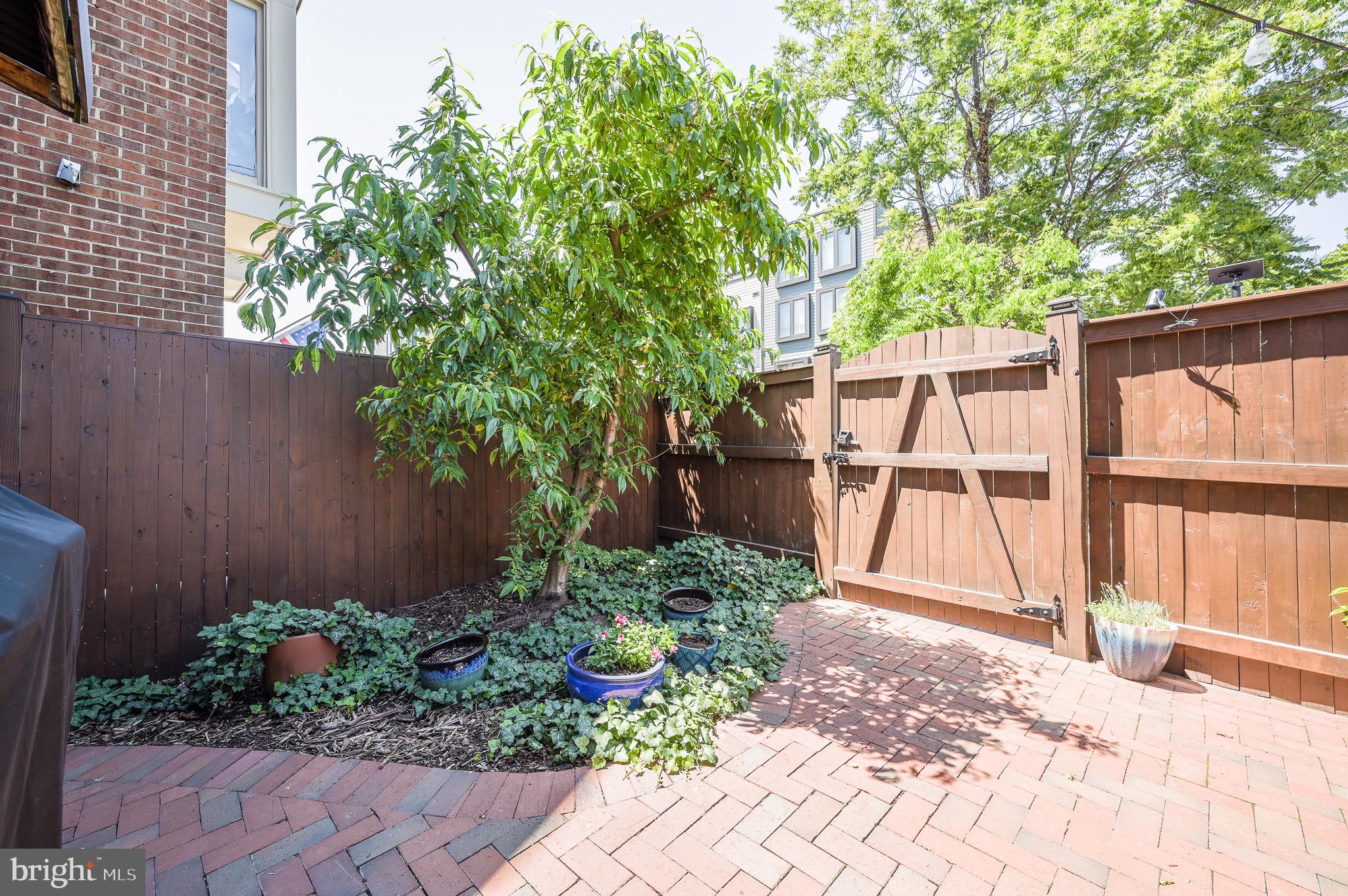 OLD TOWN ALEXANDRIA - Residential Lease
