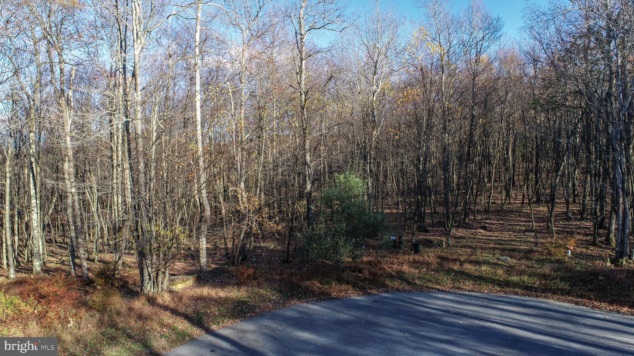 MOUNTAINSIDE - Land
