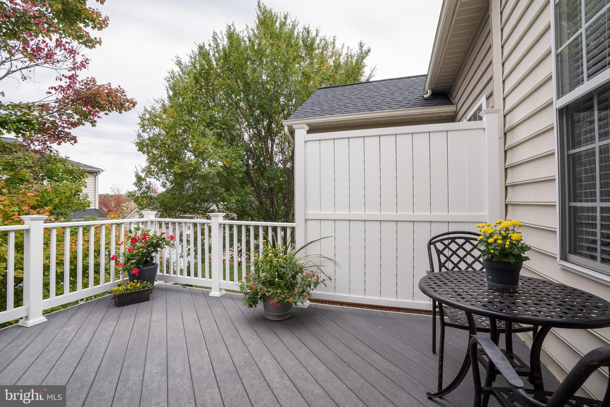 ELLICOTT MEADOWS - Residential