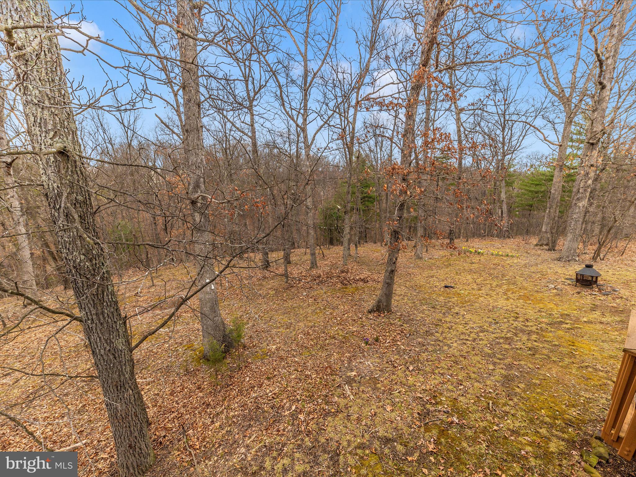 FOREST HEIGHTS - Residential