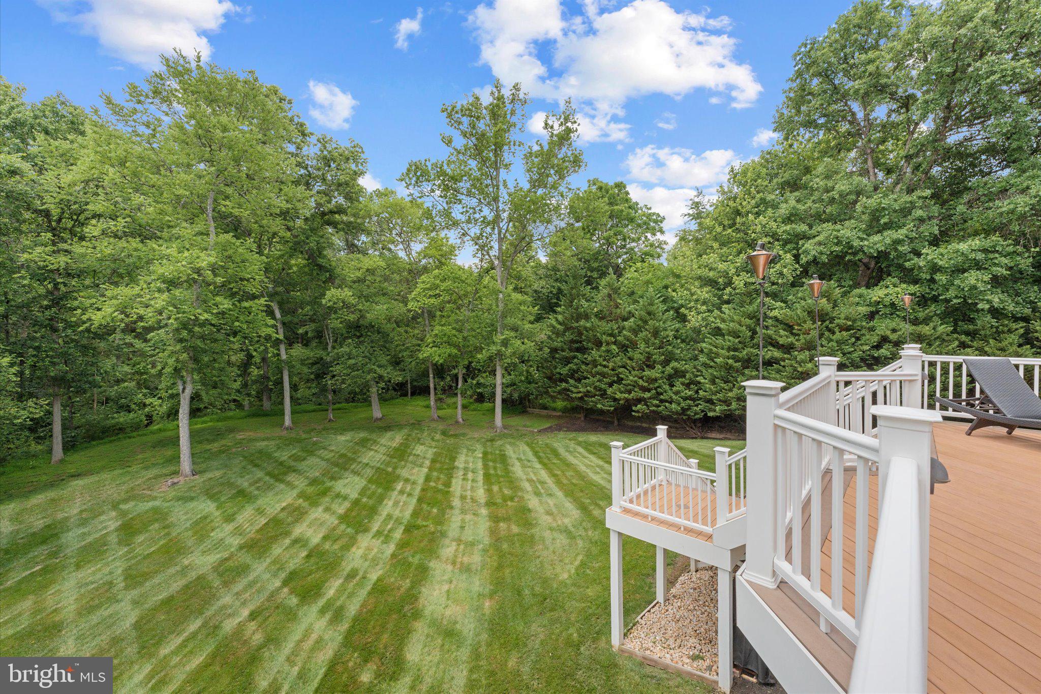 ESTATES AT BREYERTON - Residential