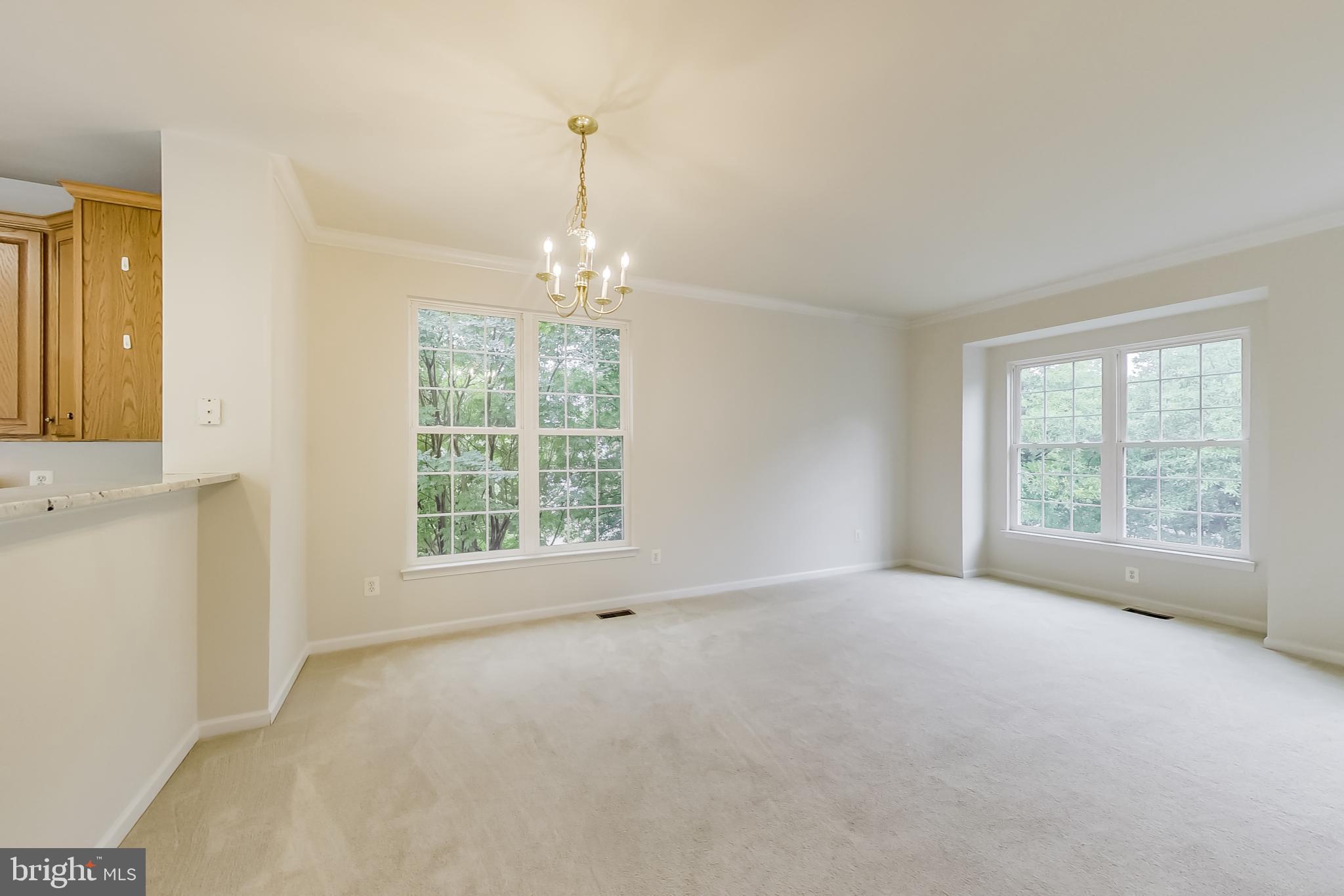 AMBERLEA AT SOUTH RIDING - Residential