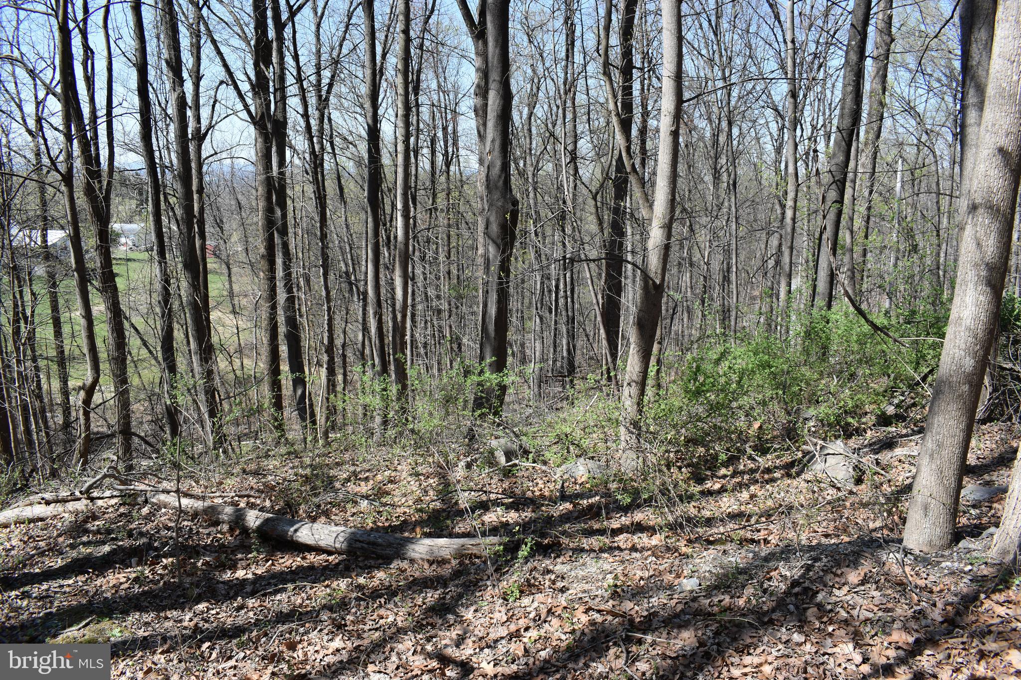 WESTRIDGE HILLS - Land