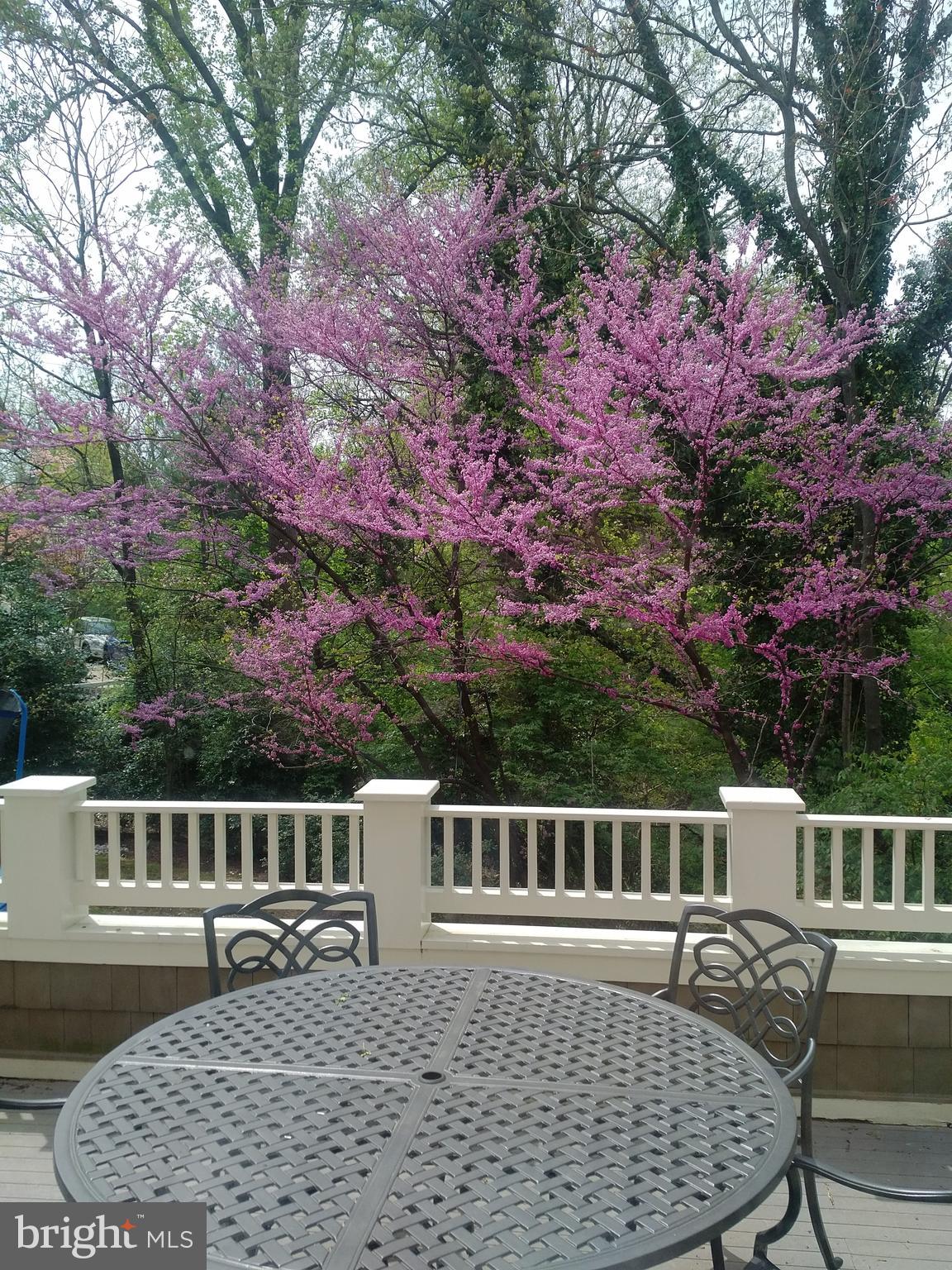 WOODMONT - Residential