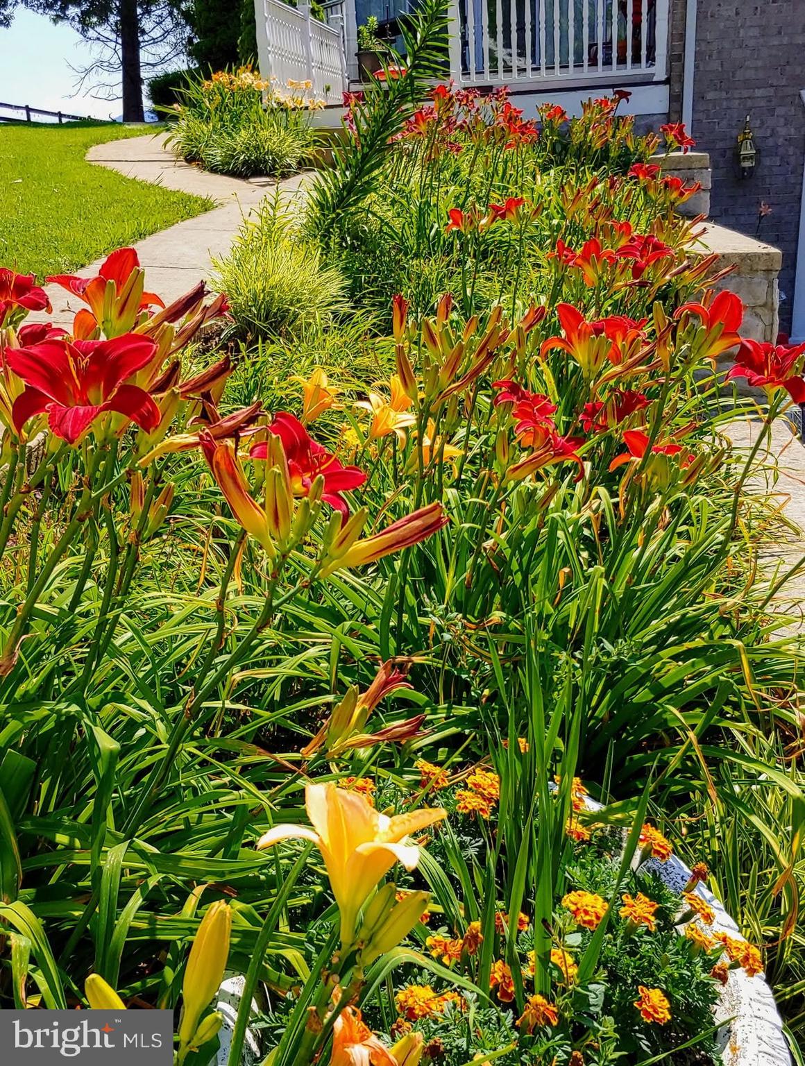 LURAY - Residential