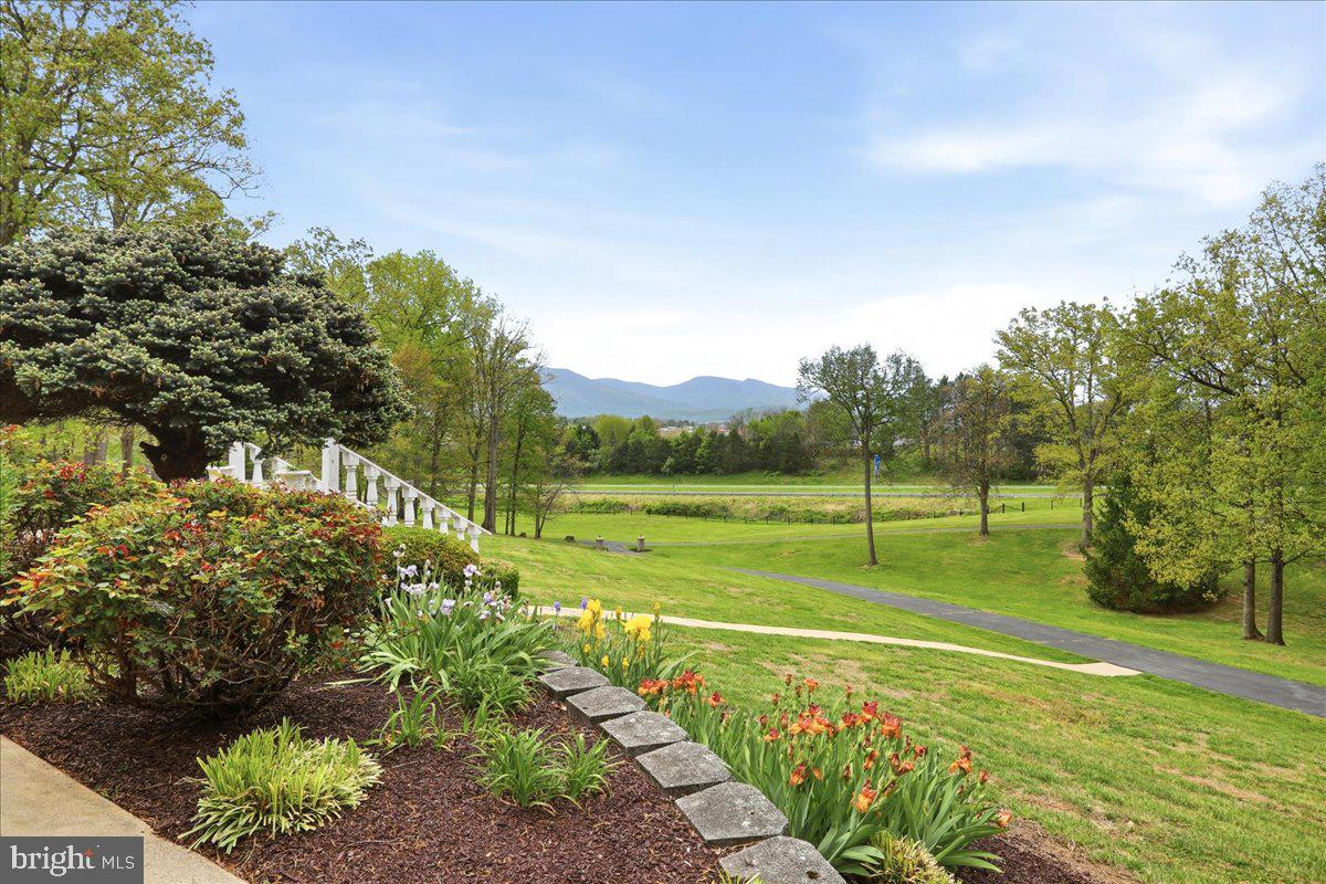 LURAY - Residential