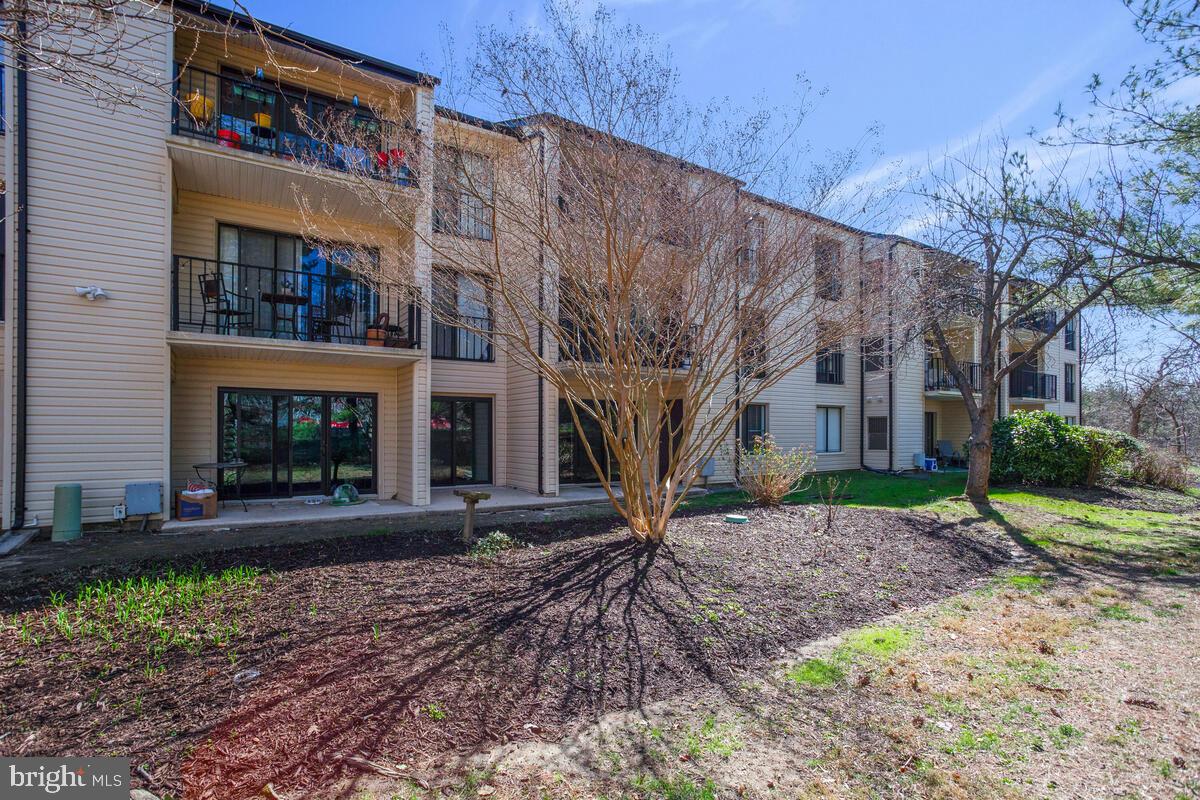 RIVA COMMONS - Residential Lease