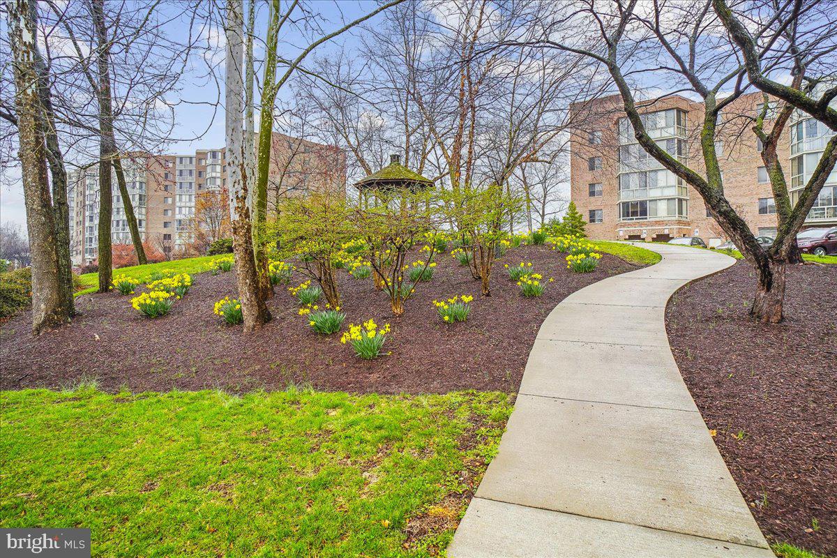 ROSSMOOR LEISURE WORLD - Residential