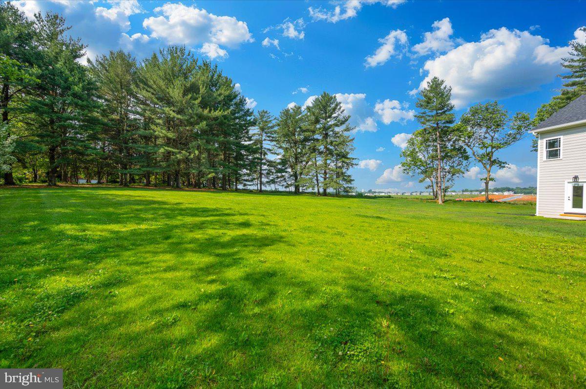 SHENANDOAH JUNCTION - Residential