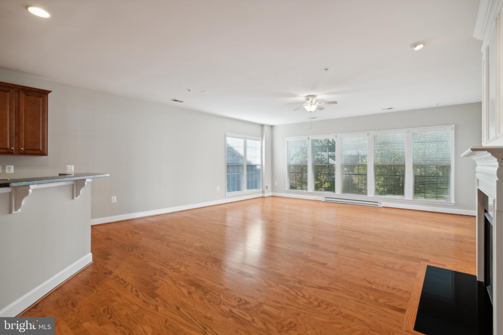 CELEBRATE VIRGINIA NORTH - Residential
